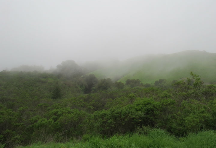 Santa Cruz Mountains